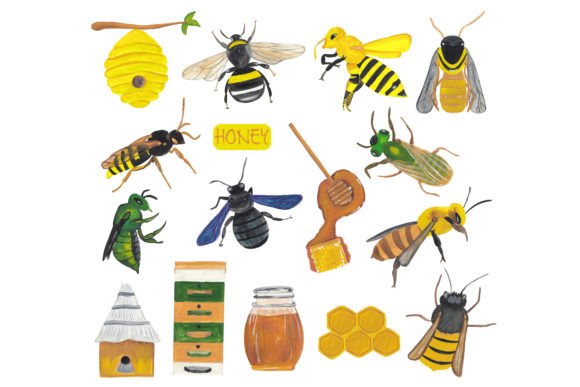 Download Honey &amp; Bee Illustration Set - Illustration Collection